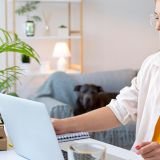 Create amazing strategies for your business projects (Demo)